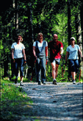 nordic walking blading inline skating running personal training