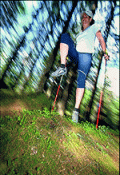 nordic walking blading inline skating running personal training